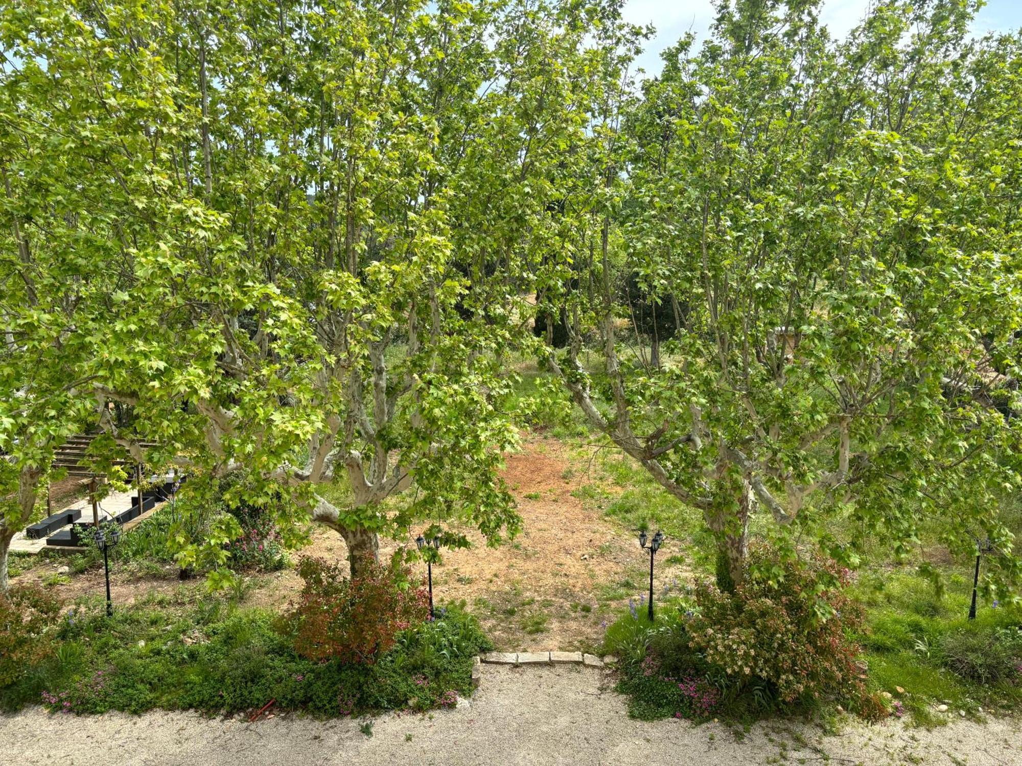 Appartement De Standing Dans Une Bastide Aixoise آيكس أومبروفينس المظهر الخارجي الصورة